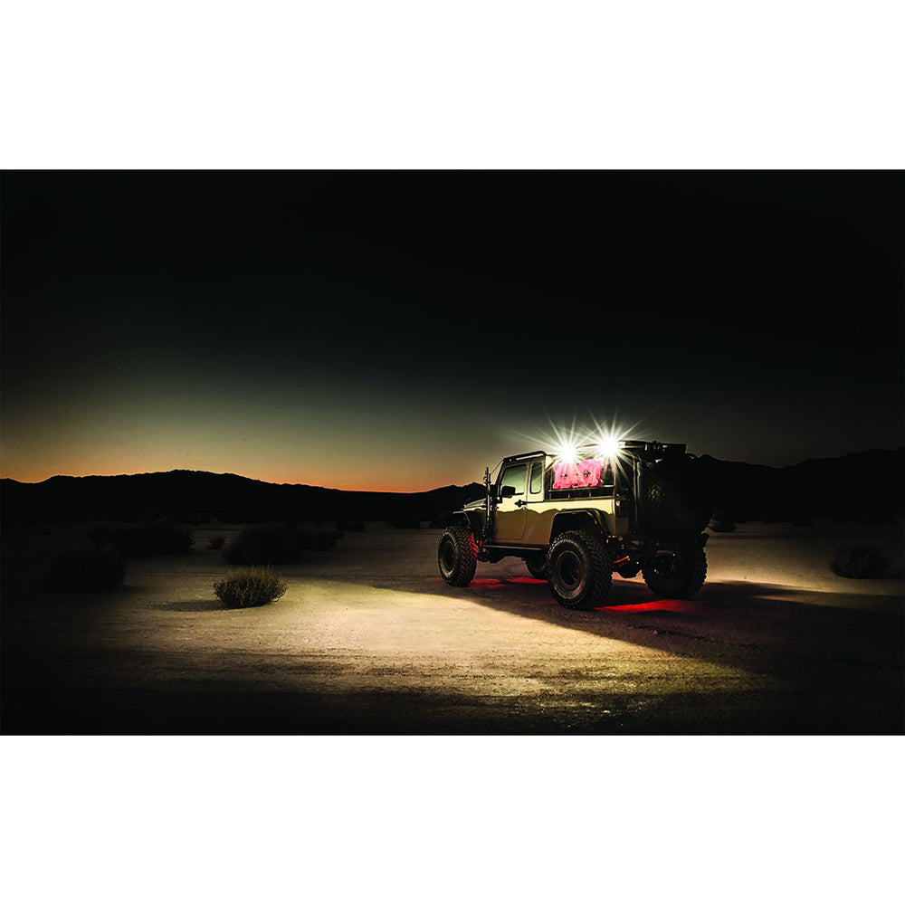 RIGID Industries 2x10 115? DC Scene Light Black - White LED