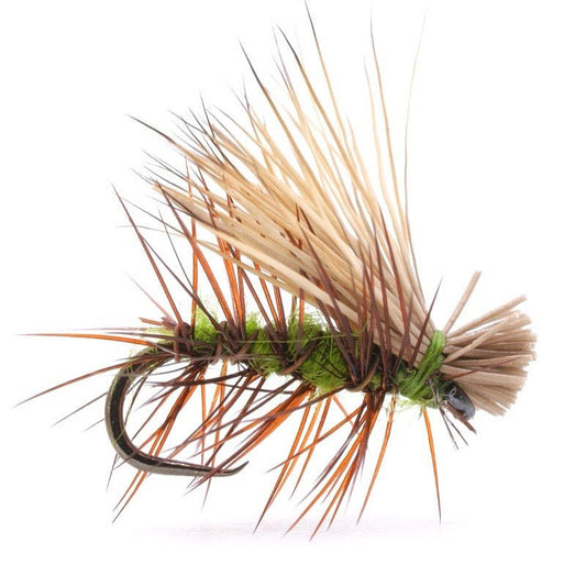 Elk Hair Caddis Olive